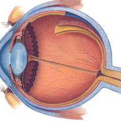 Mirada Perdida (beat Kaoz)