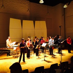 Concertino (Rice)