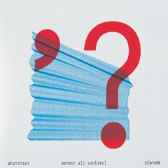 Mehmet Ali Sanlikol, "What's Next" from 'Whatsnext' (2014)