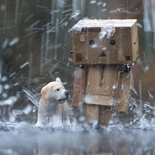 tHa rAiN (HiGH sOciEty)