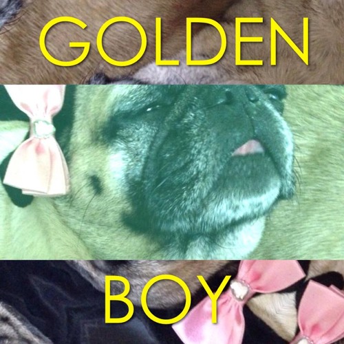 Golden Boy! - Study [002 - REAL LIFE]