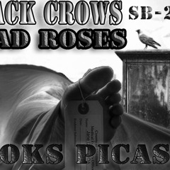 BLACK CROWS DEAD ROSES