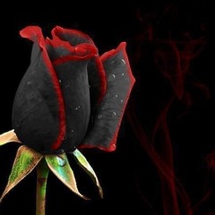 All kinds of Hip-Hop R&B Rap Mix