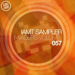 Slackers Project - Stone (Original Mix) [IAMT]