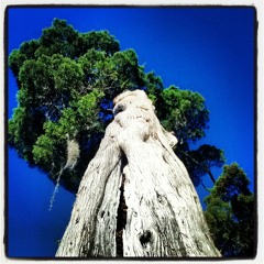 kindred spirit (instrumental)