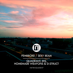 Quadrant, Iris & Homemade Weapons - Pembroke