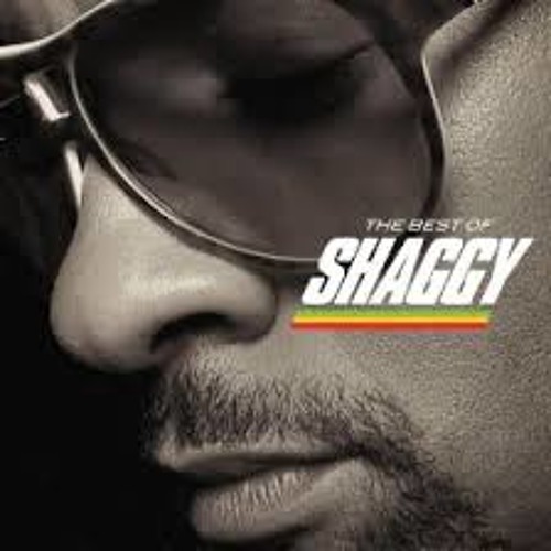 In The Summertime remix (Shaggy)