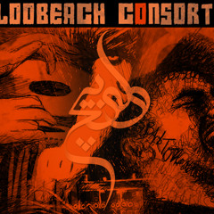 Waloobeach Consortium: "PLUS"