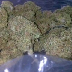 BA$ED SH!T (freestyle)