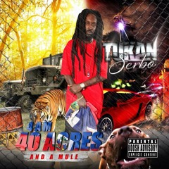 Picture Booth ft zona in tha trap and hukk finn