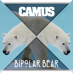 Bipolar Bear (Preview • Live Record)