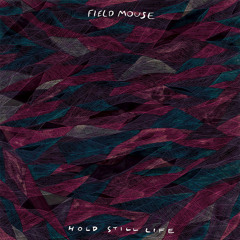 Field Mouse - "Everyone But You"