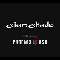 Phoenix Ash - Still We Go (Cover)