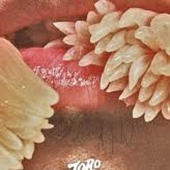 Divina - Toro Y Moi (Cover)