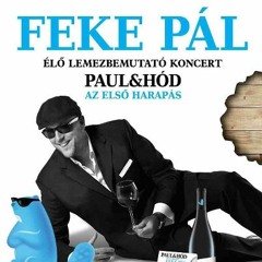 Feke Pál - Csönded Vagyok