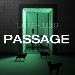 Bass Rebelz - Passage (Original Mix)