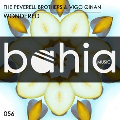 The Peverell Brothers & Vigo Qinan - Wondered **OUT NOW**