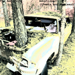 Stone In Focus (Aphex Twin Cover)