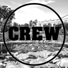 Brave (Crew & Co)