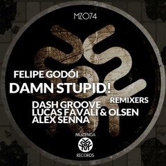 Felipe Godoi - Damn Stupid! (Alex Senna Remix)  [ MUZENGA RECORDS ] OUT NOW !