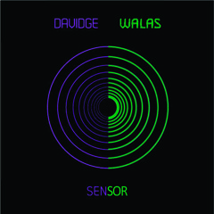 Neil Davidge - Sensor (Haard Trip RMX by Walas)