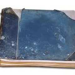 Album By Diane Havens