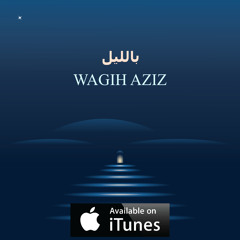 شوية هموم