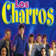 djs