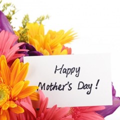 Yamma Mohamed Fouad    2014   يا ما محمد فؤاد