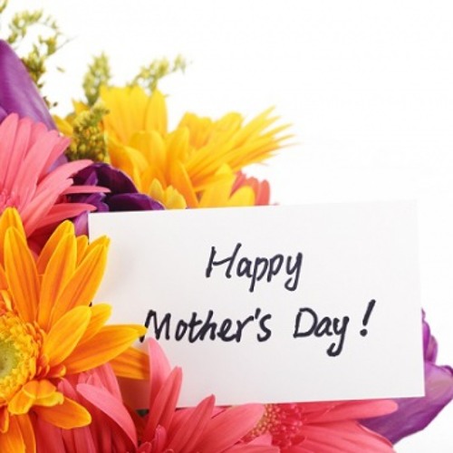 Yamma Mohamed Fouad 2014 يا ما محمد فؤاد