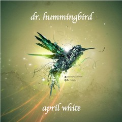 02 Dr. Hummingbird