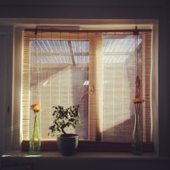 Remembrance In London (Nov 2013)