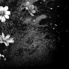 Royalty Free - Good Times (demo)