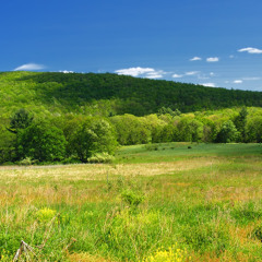 Hillside (feat. Jason Zaffary) | 2009