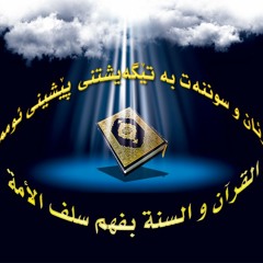 طيور بيبي