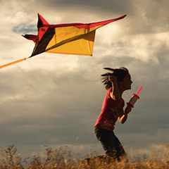 Inspiring Flight (watermarked)