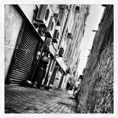 Bibid - Crippled Nation