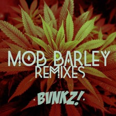 BVNKZ - Mob Barley (Nadi & Javier Holland Remix)