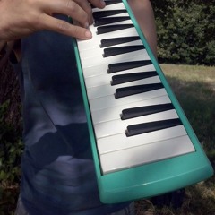 Psycho Immune - Drop Dub Meter