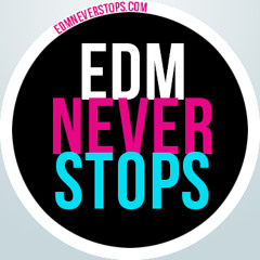 EDM NEVER STOPS(2)-Dev