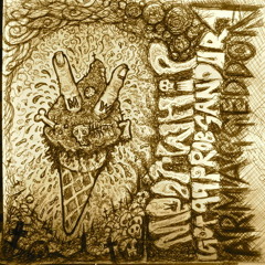 take me to your leader