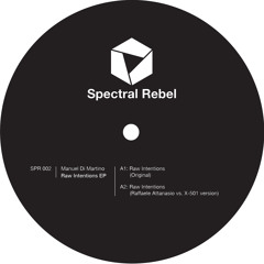 Raw Intentions EP inc. Raffaele Attanasio vs X-501 Version [SPR002] Vinyl 12"
