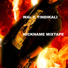 NIKO NAO-WALC/TINDIKALI