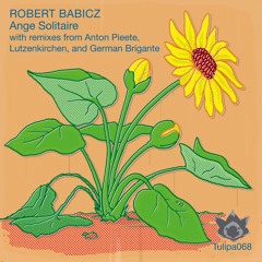 Robert Babicz - Ange Solitaire (Lutzenkirchen Remix)