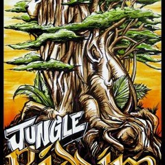 DLX Vs. Michael Palmer- Smoke The Weed(Jungle Riddim Dub)