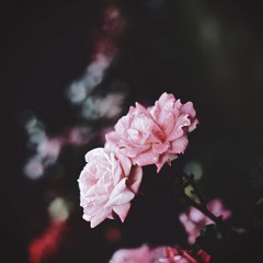 Best Song Ever ( Gabrielle Aplin Cover )