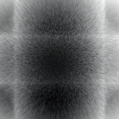 PLMDE002 - Ceren - A Figure Of Thought