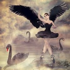 THE BLACK SWAN (ballet style)read description