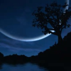 KEVLAR * LATE NITE SOUNDZ * ANIMAL FACTORY * BACKROOM RECORDINGS