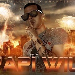 papi wilo